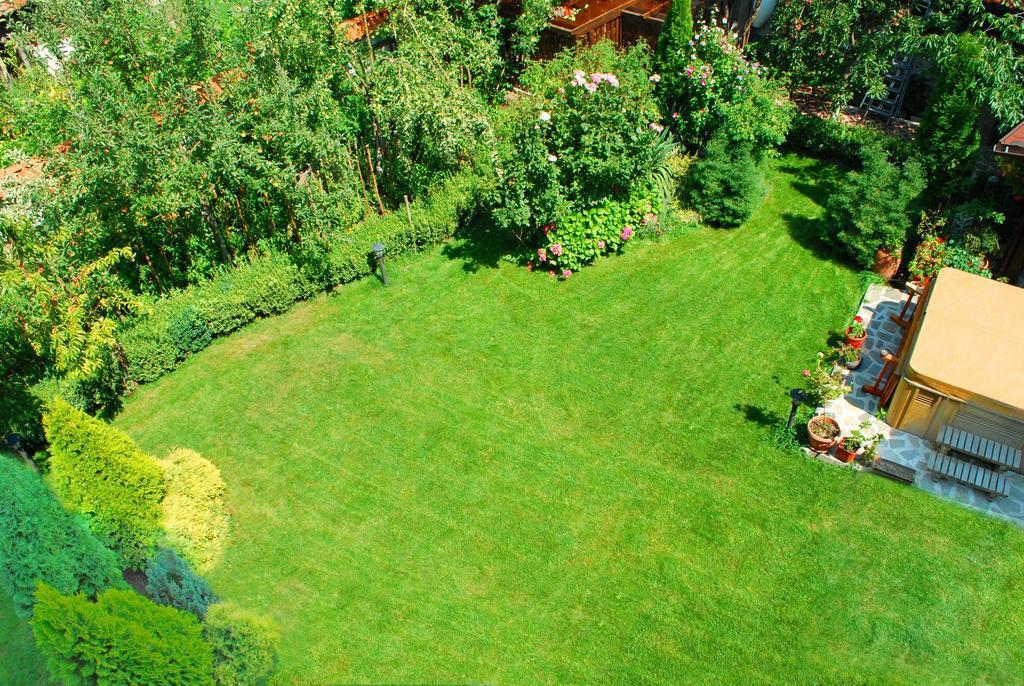 Guest House Chicho Tsane Bansko Ngoại thất bức ảnh